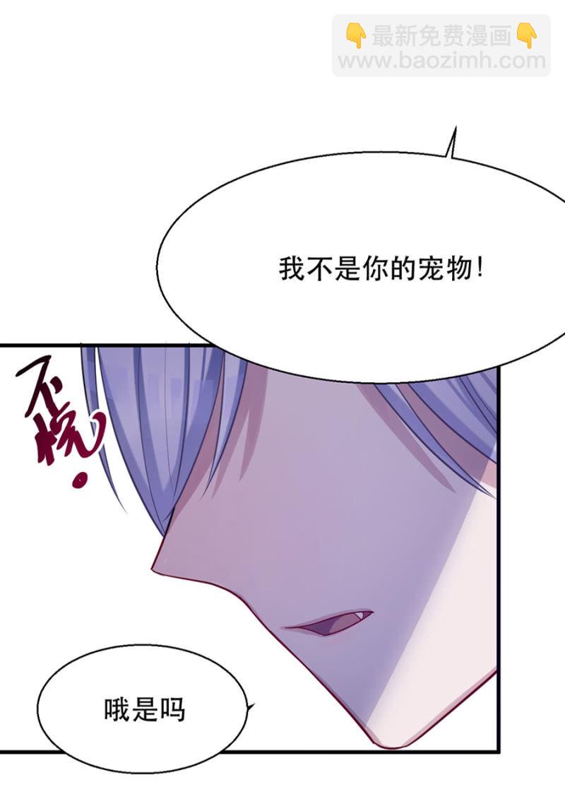 宠物的样子4
