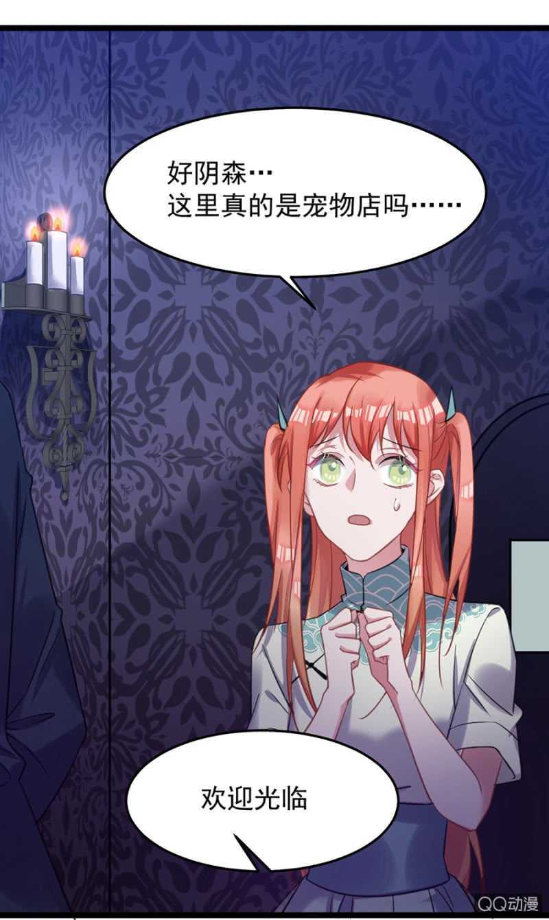 奇妙屋19