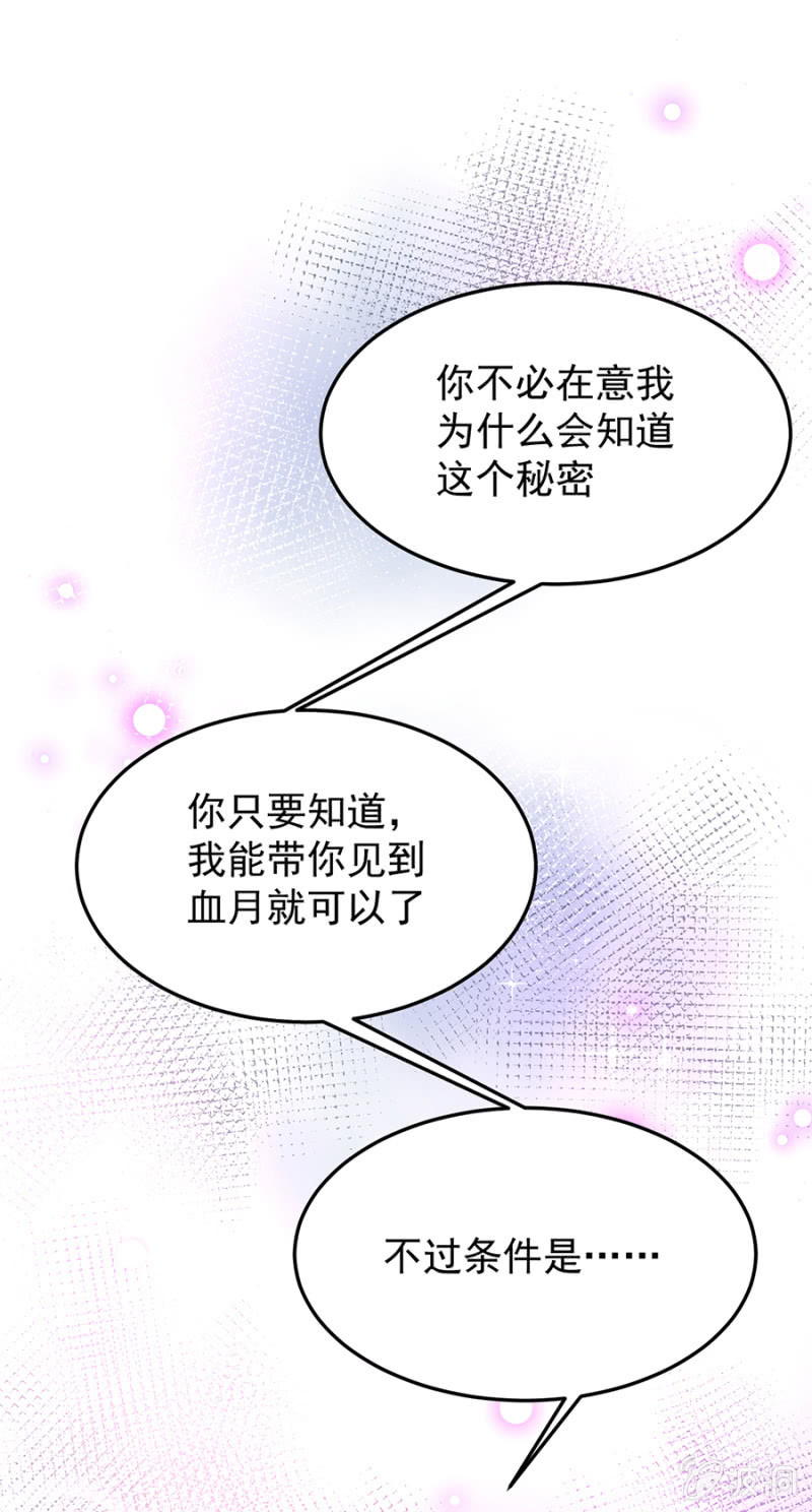 你是我的王妃1