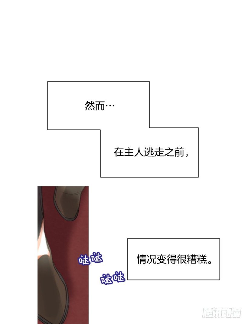 11.追随他51