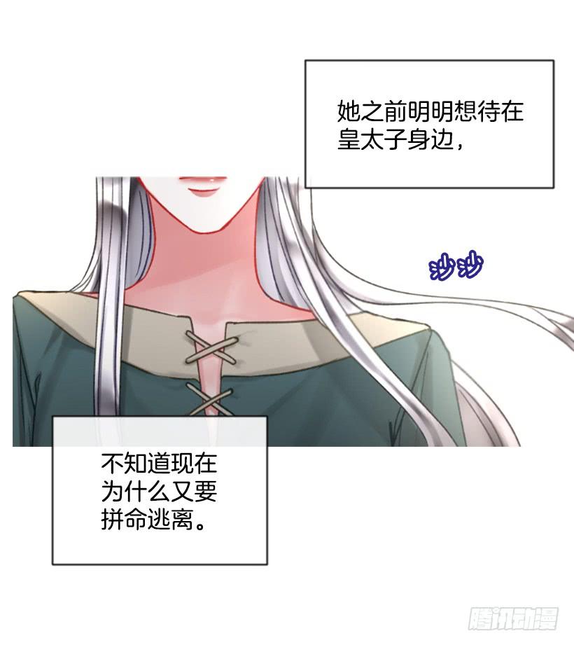 25.月神庆典7