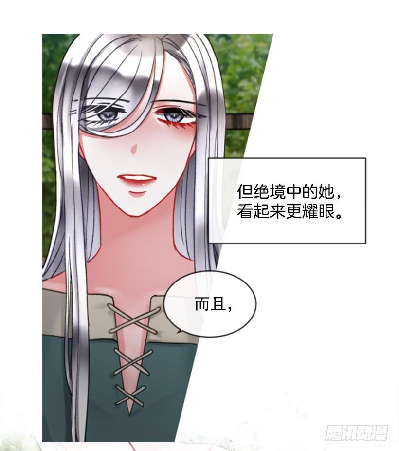 25.月神庆典8