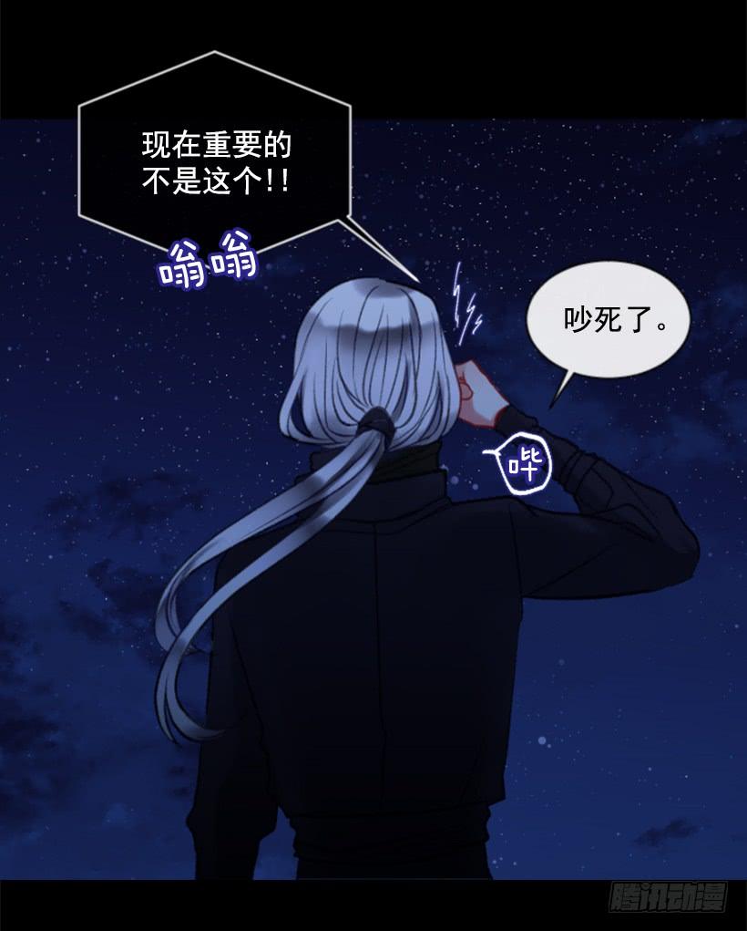 31.虎父无犬子27