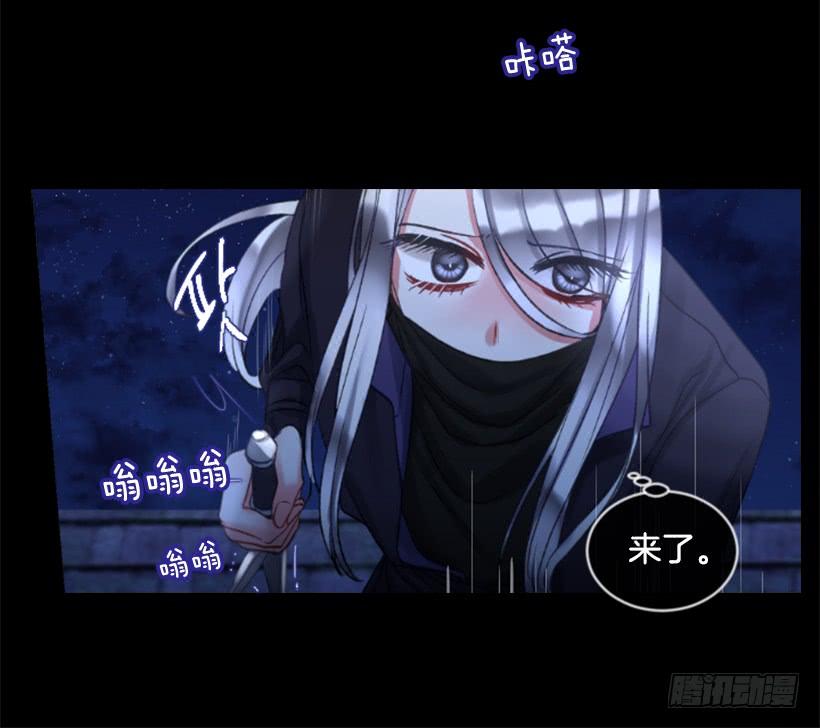 31.虎父无犬子35