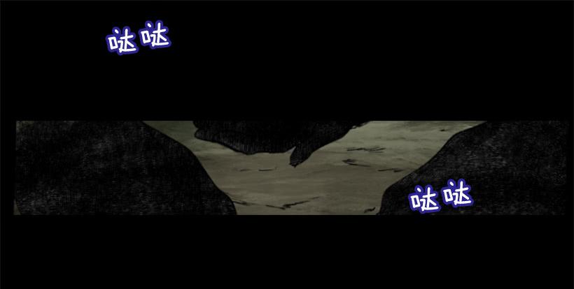 31.虎父无犬子48