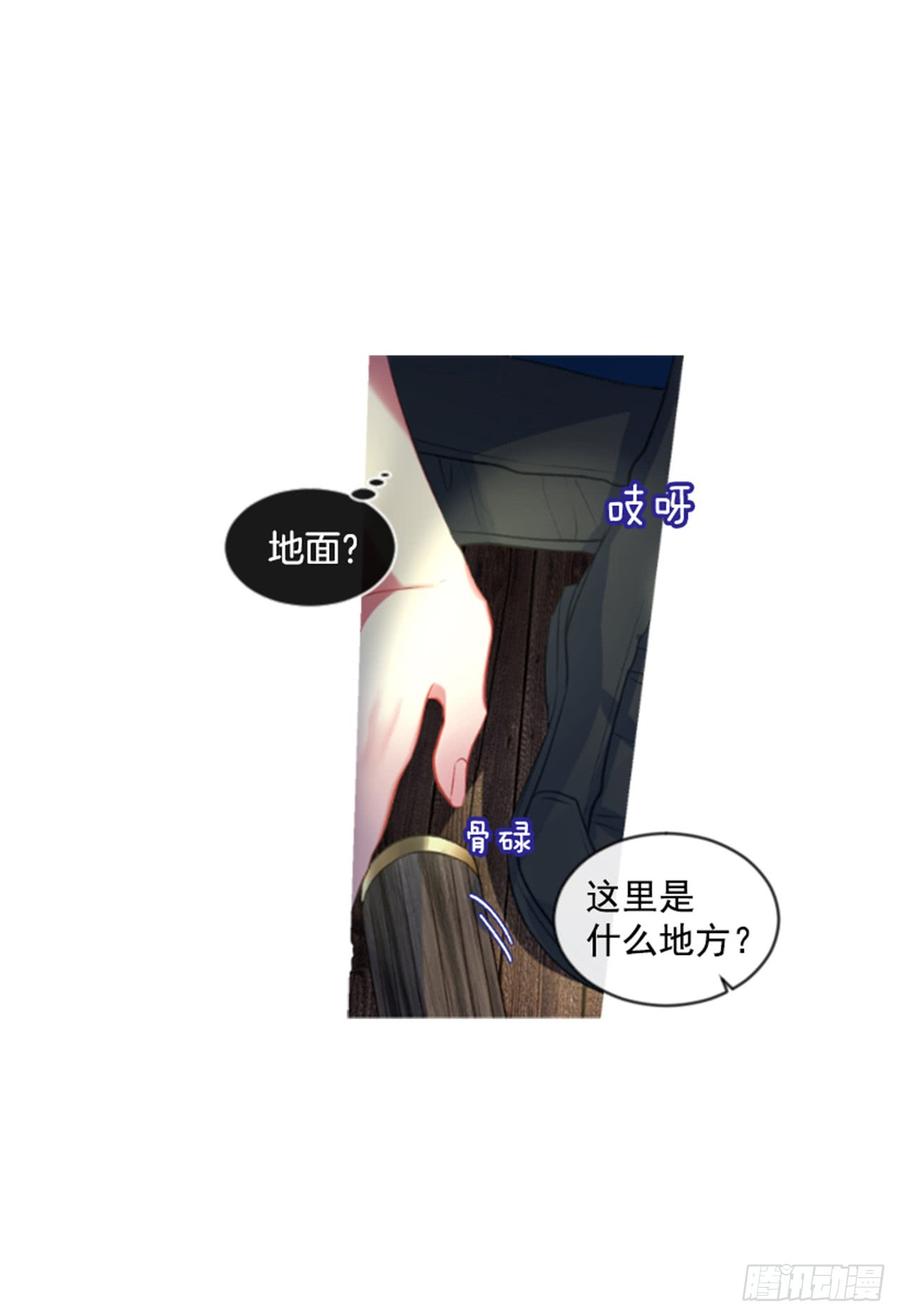 32.庆典21