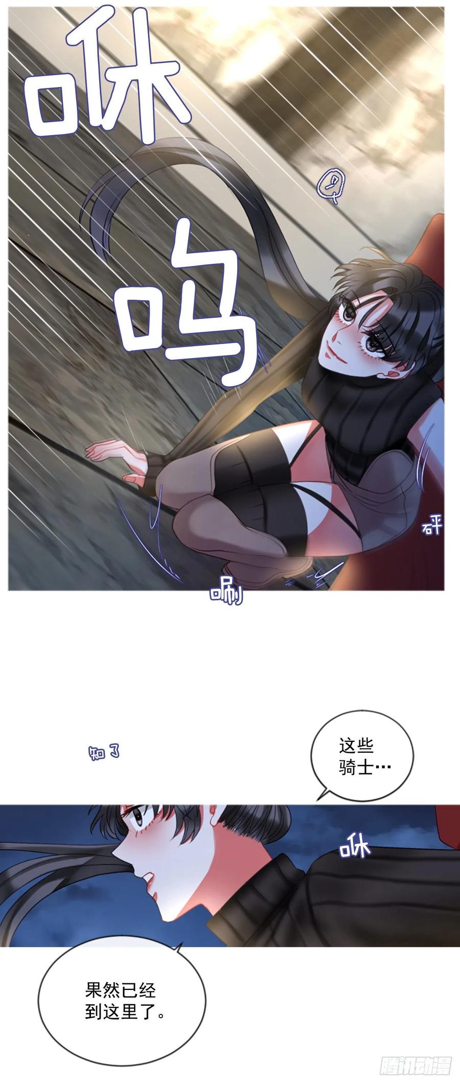 48.花藏花（2）2