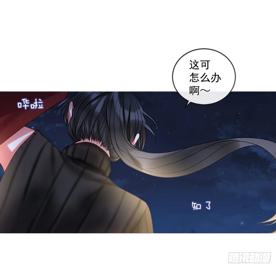48.花藏花（2）3
