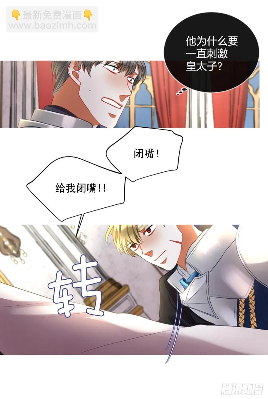 50.花藏花（4）13