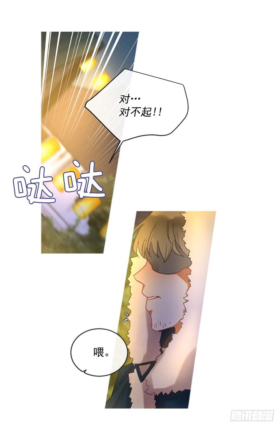 51.花藏花（5）21