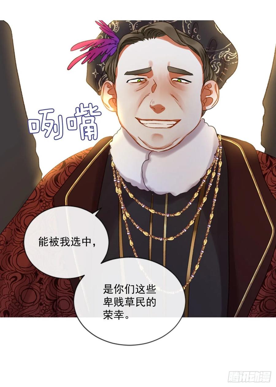 51.花藏花（5）25
