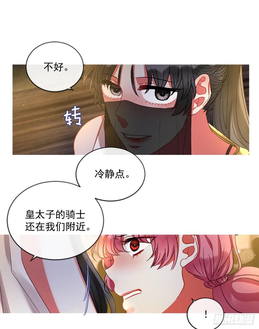 51.花藏花（5）26