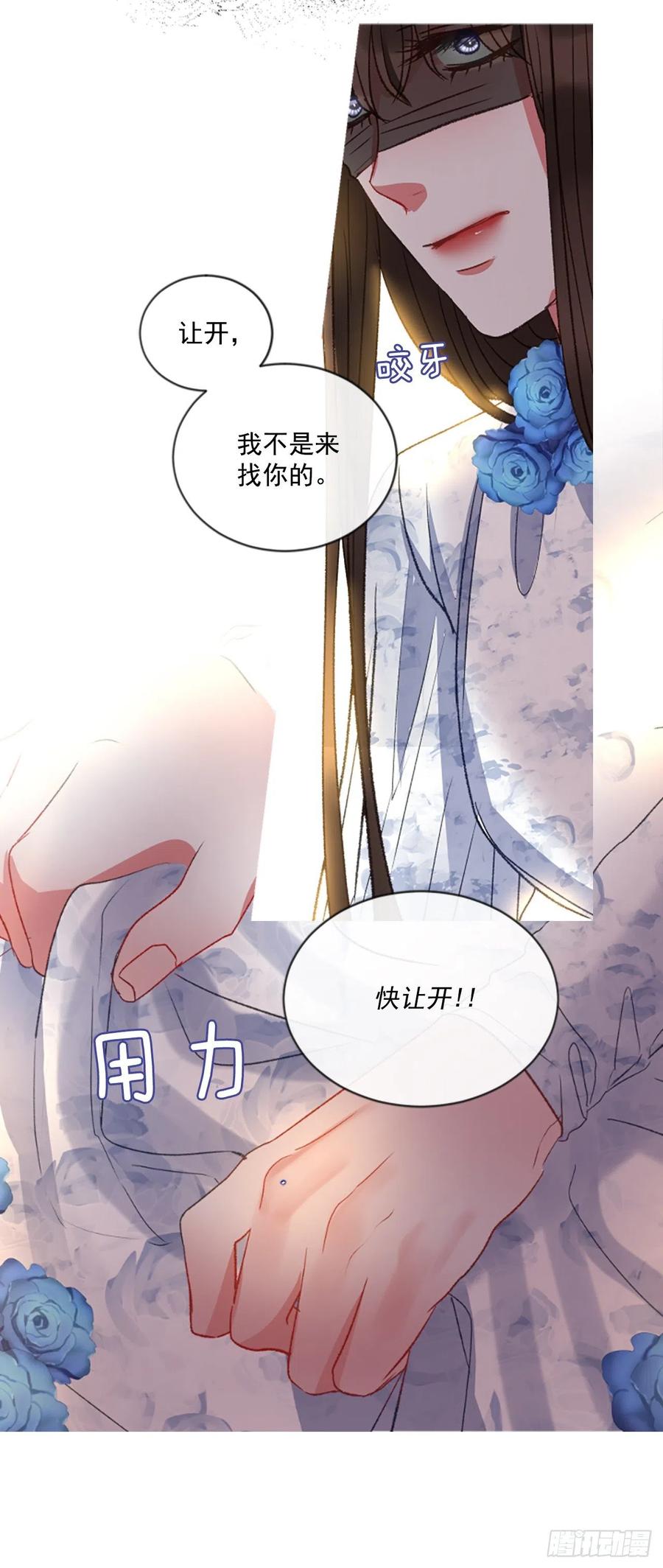 51.花藏花（5）32