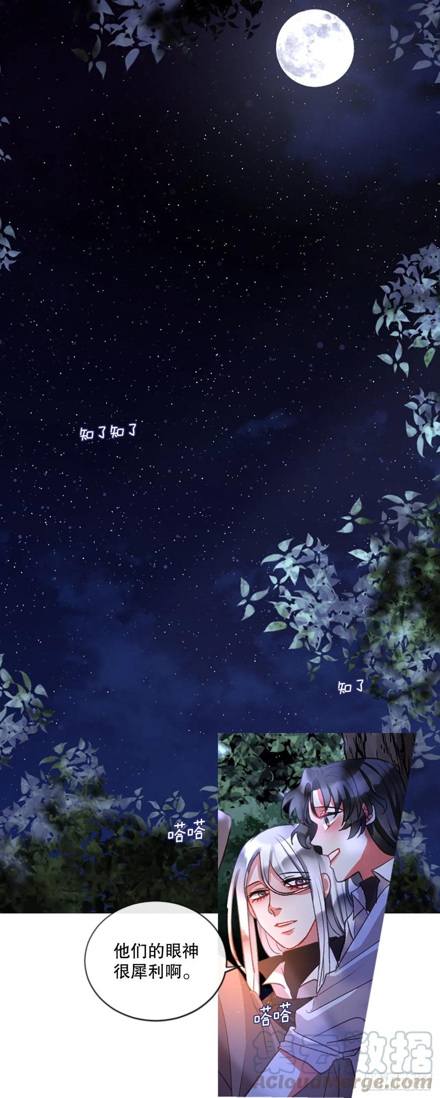 81.宁静的夜晚12