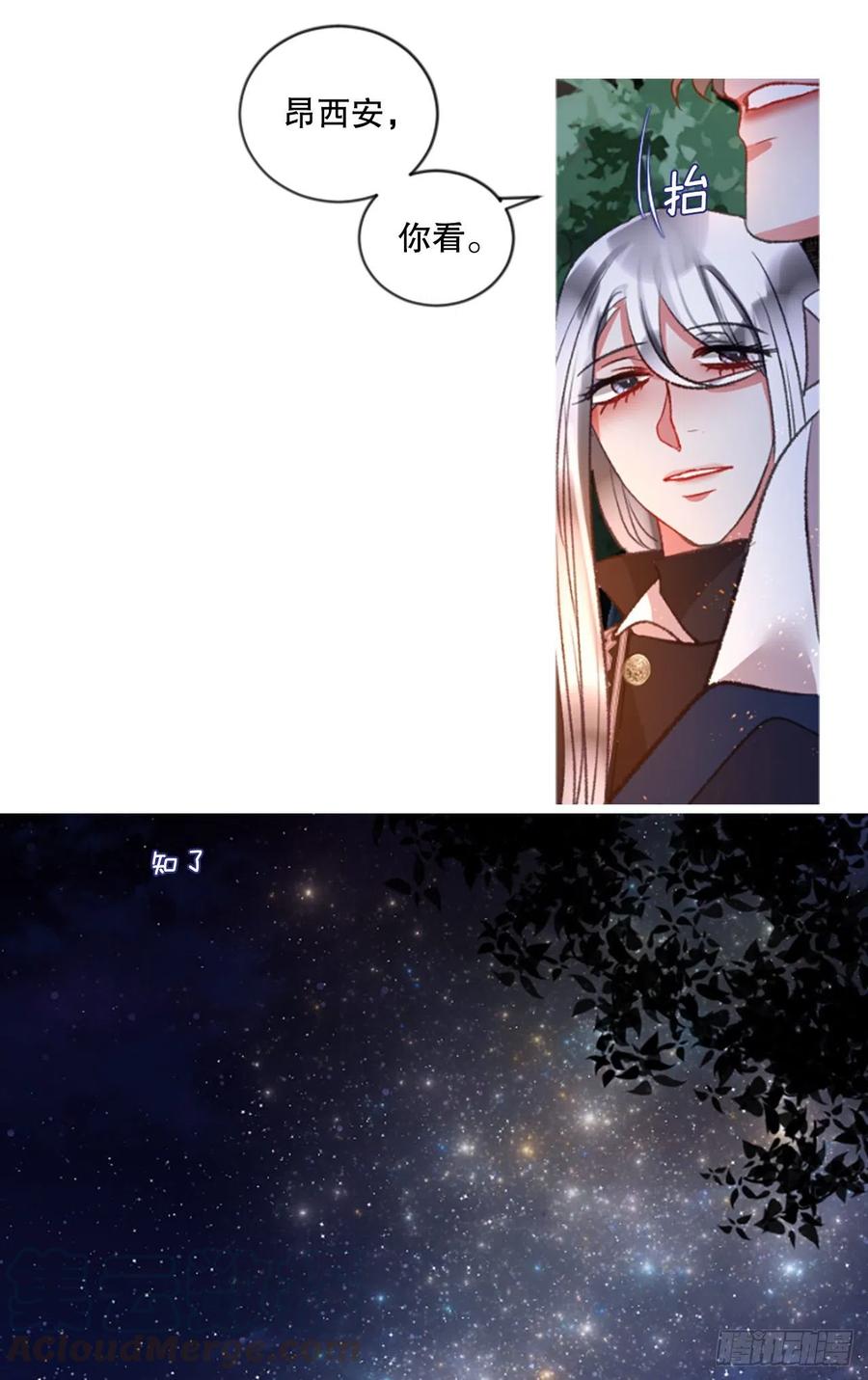 81.宁静的夜晚24