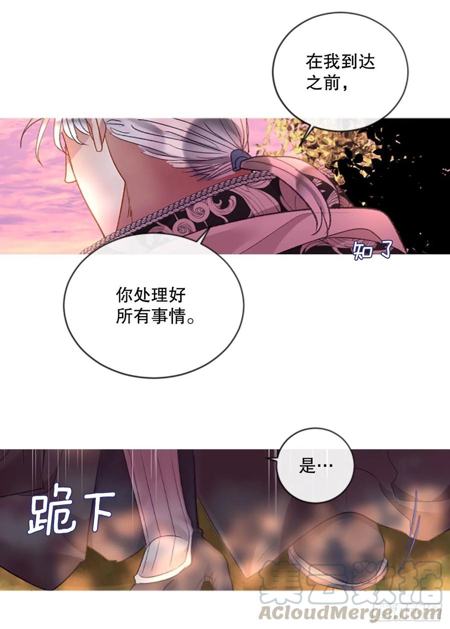 82.白鹰伊里斯10