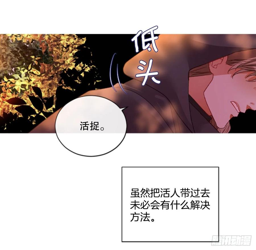 82.白鹰伊里斯13