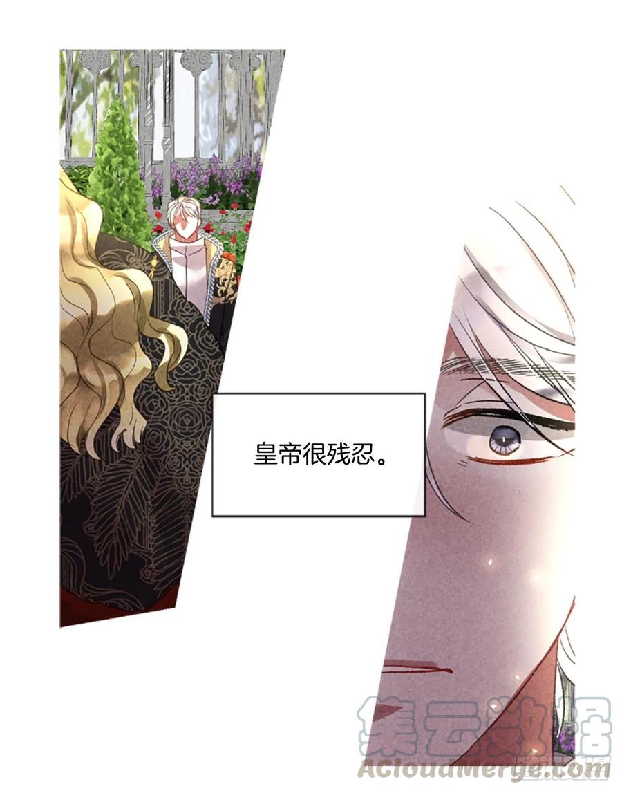 82.白鹰伊里斯14