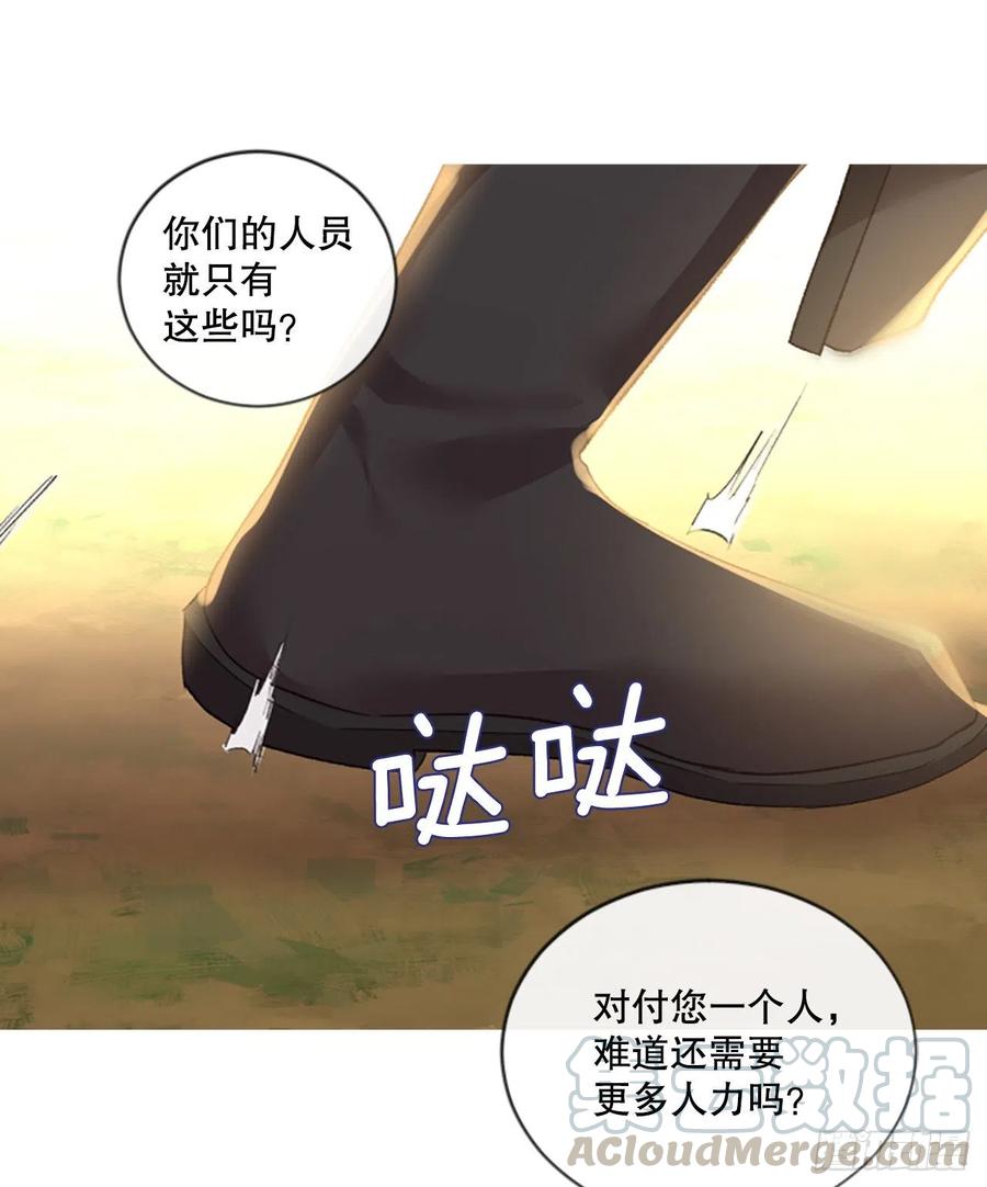 82.白鹰伊里斯28