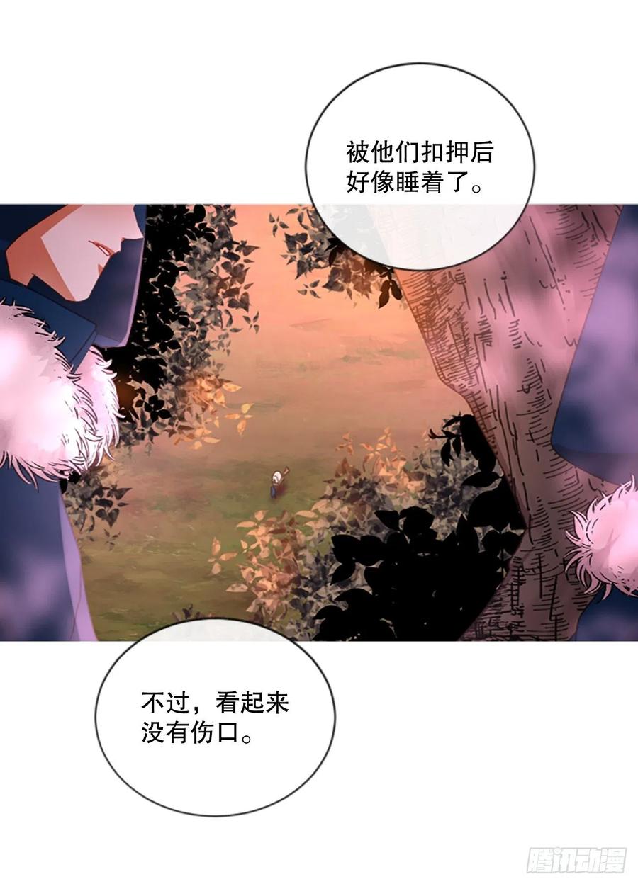 82.白鹰伊里斯3
