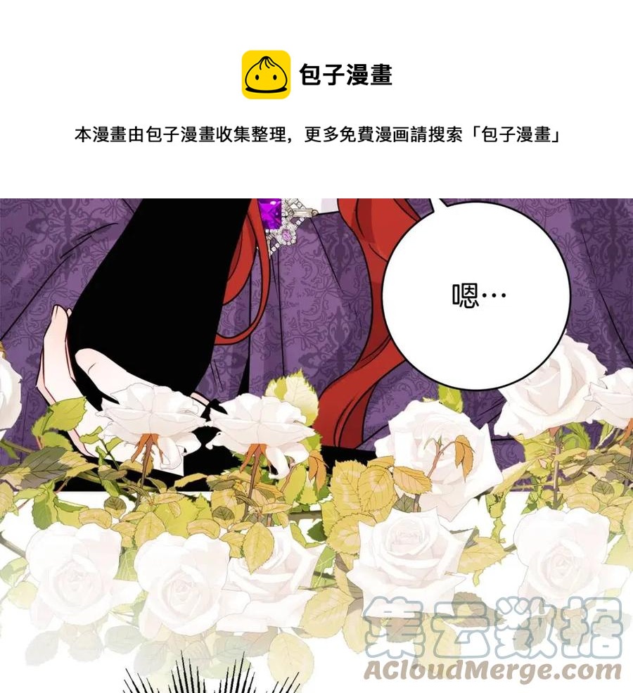 外传1 艾达公主60