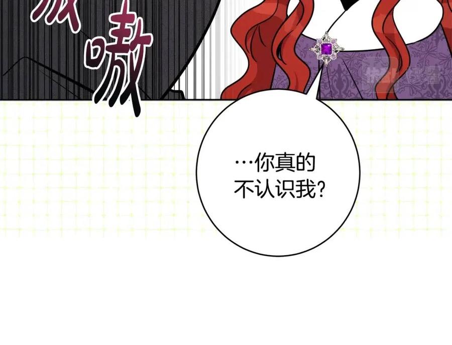 外传1 艾达公主81