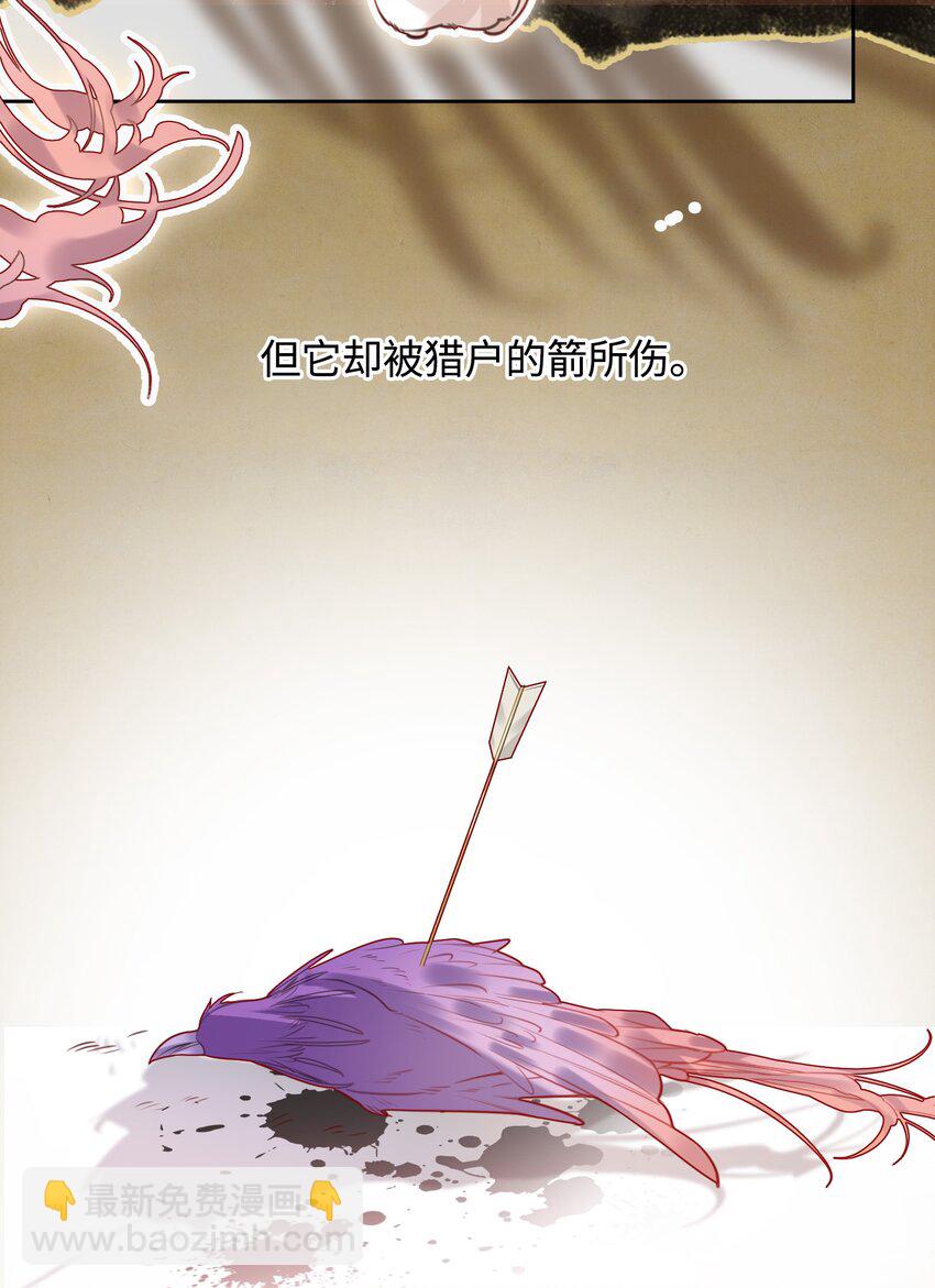 第8话 笼中鸟13