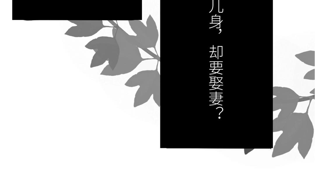 第2话 大婚之日5