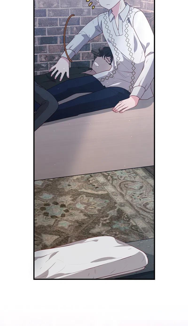 16 致病原因41