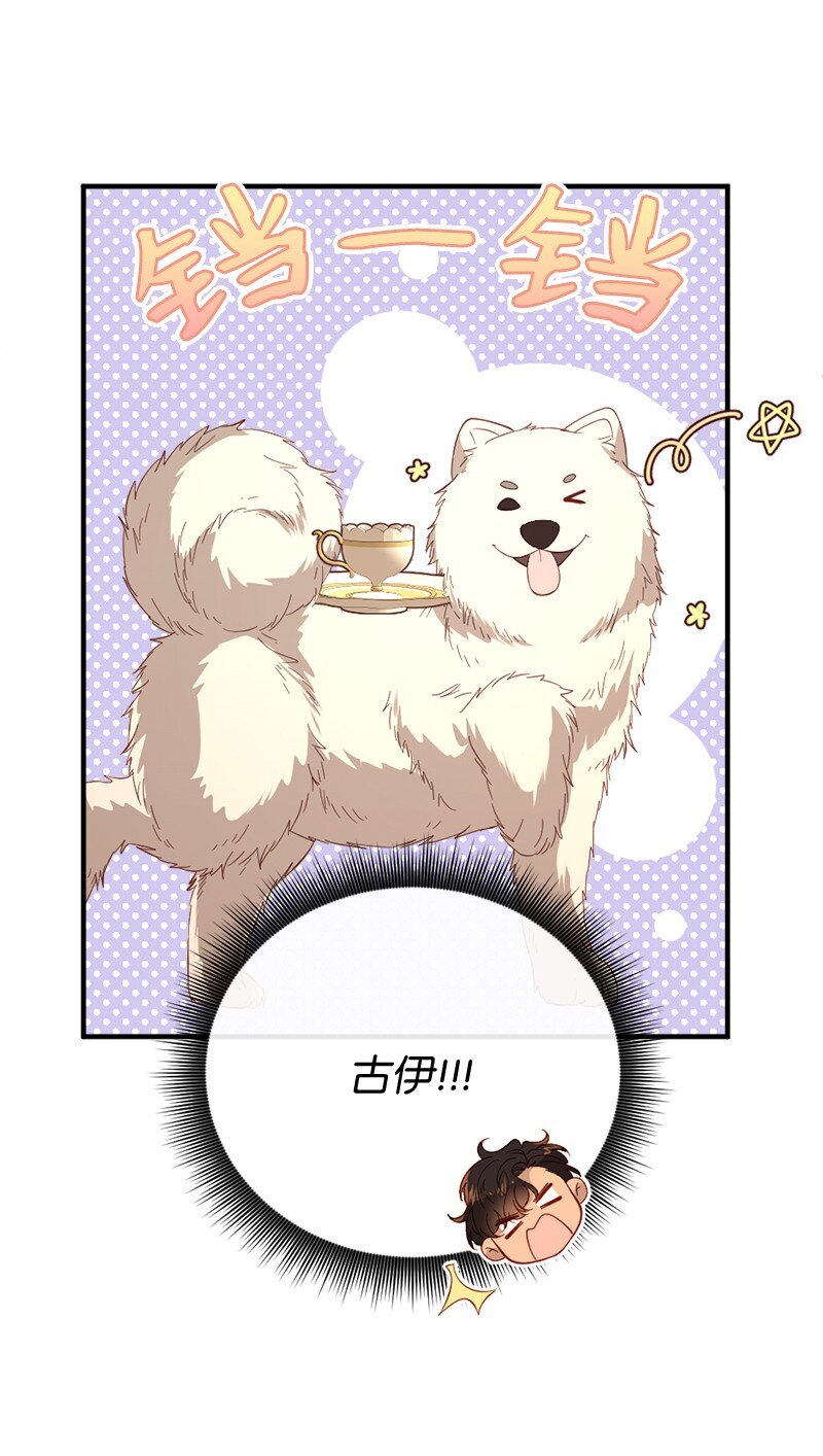 32 华丽变身32