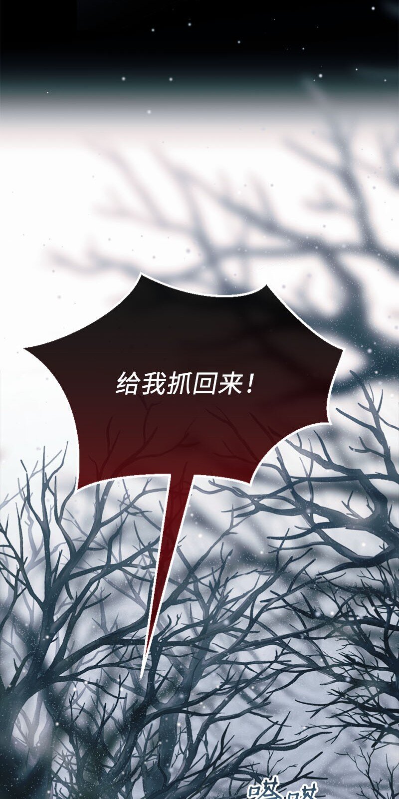 46 女巫秘籍38