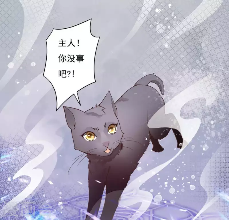 第2话 抢婚5
