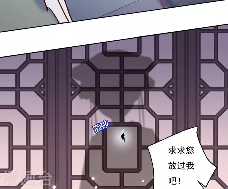 第15话 婢女宝珠17