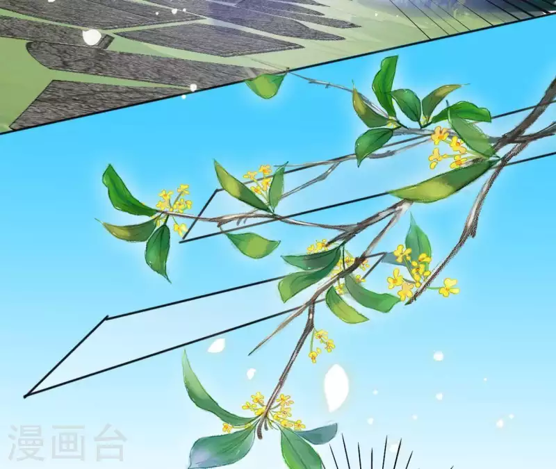 第36话 姻缘花12