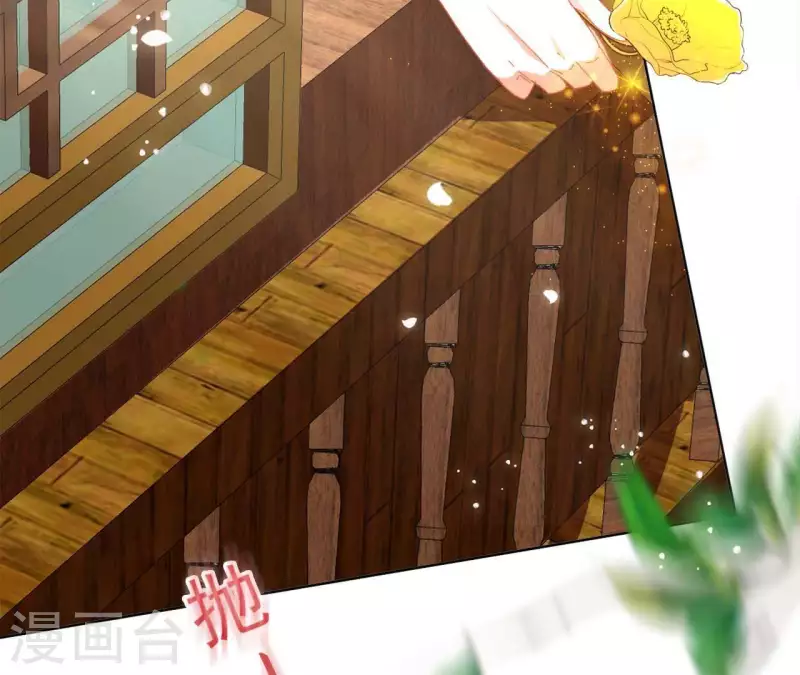 第36话 姻缘花49