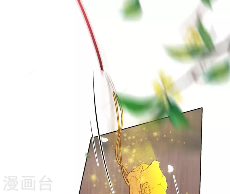 第36话 姻缘花54