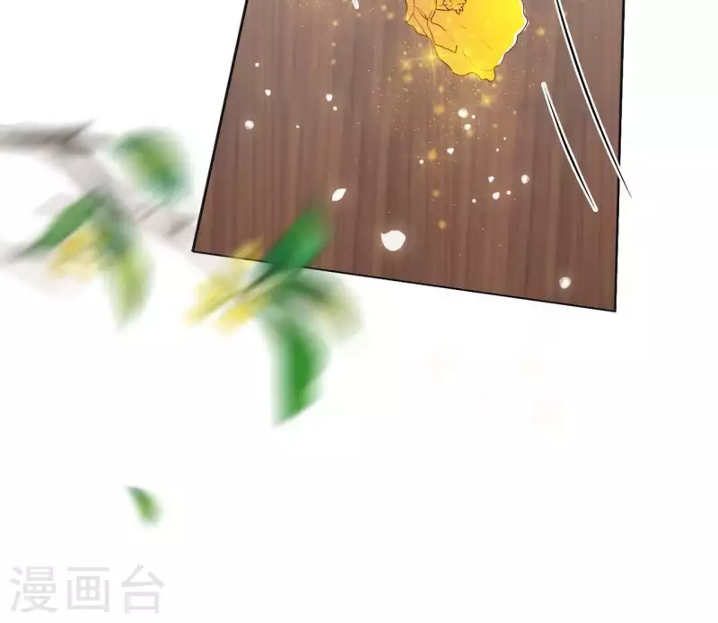 第36话 姻缘花55