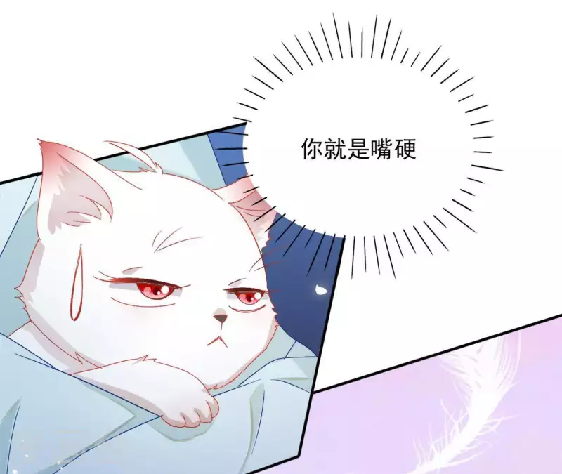 第40话 提亲25