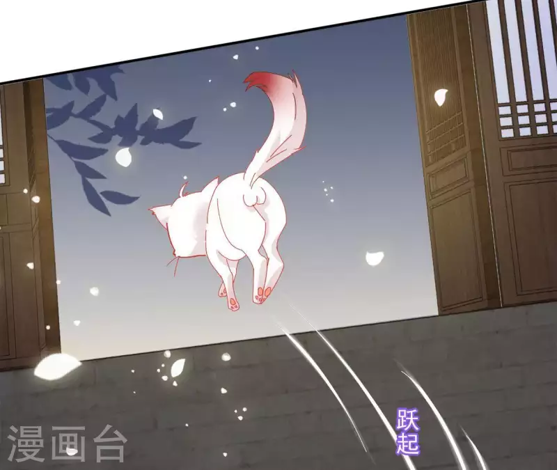 第40话 提亲32