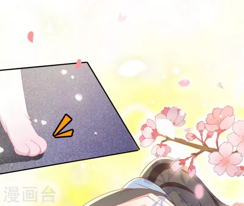 第40话 提亲38