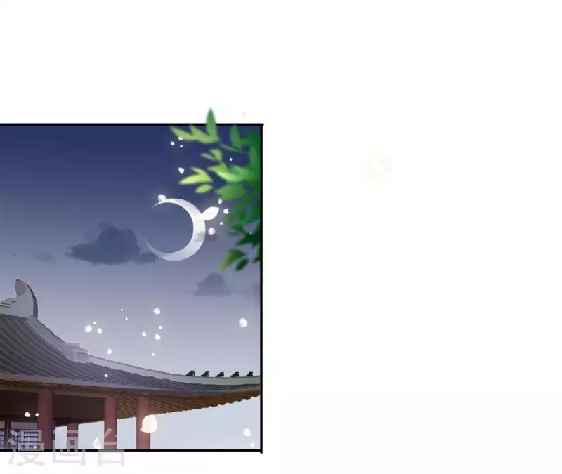 第40话 提亲4
