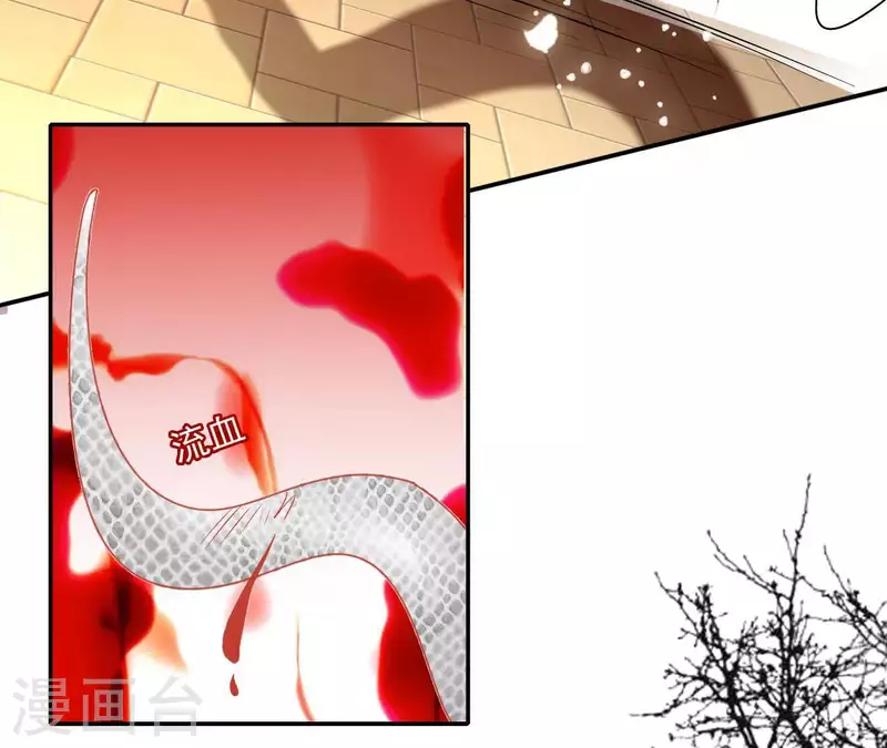 第48话 白衣少年30
