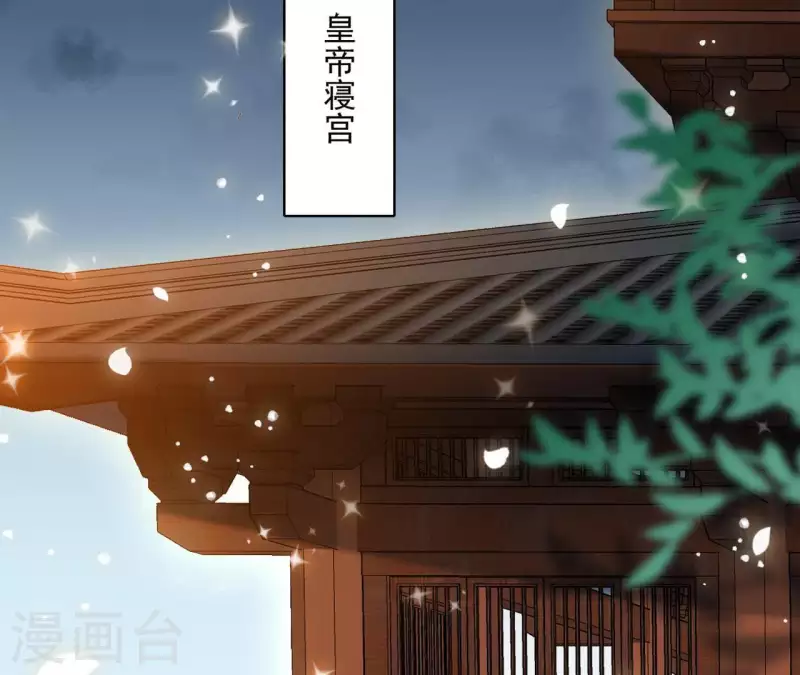 第50话 金龙5