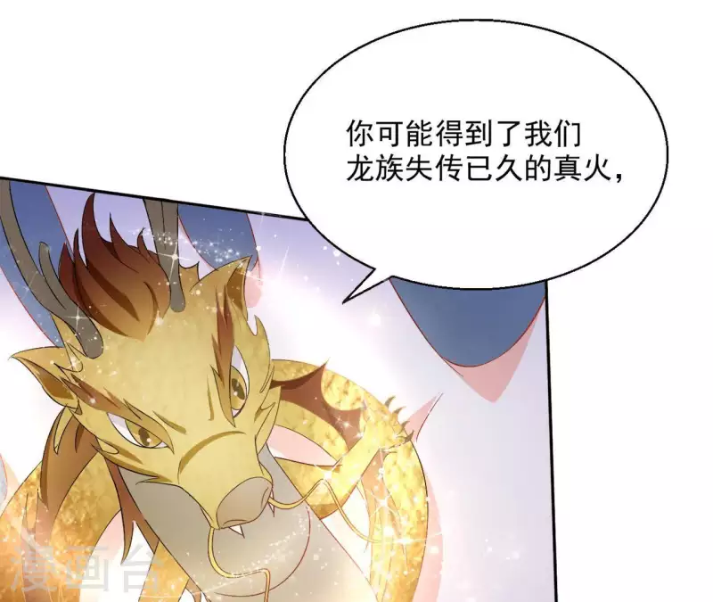 第51话 龙火33
