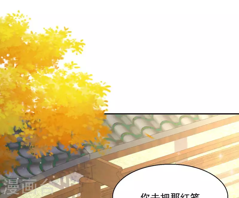 第81话 “宠”妾？29