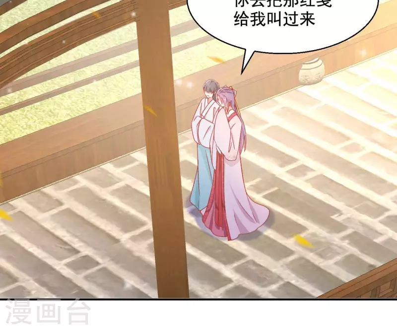 第81话 “宠”妾？30