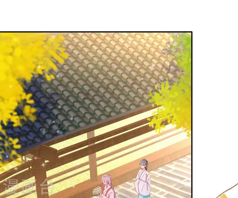 第81话 “宠”妾？4