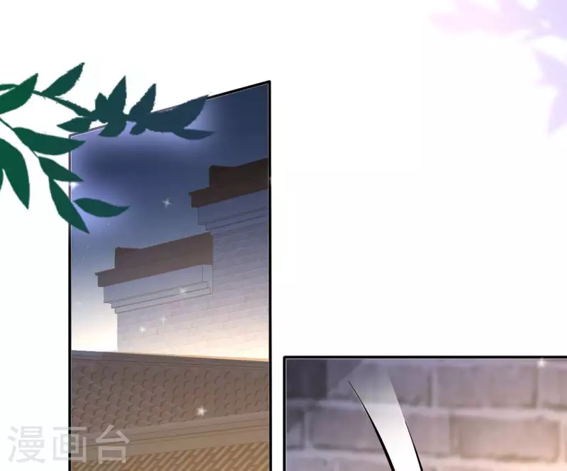 第81话 “宠”妾？56