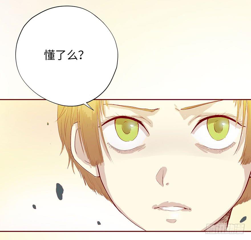 003搭档160