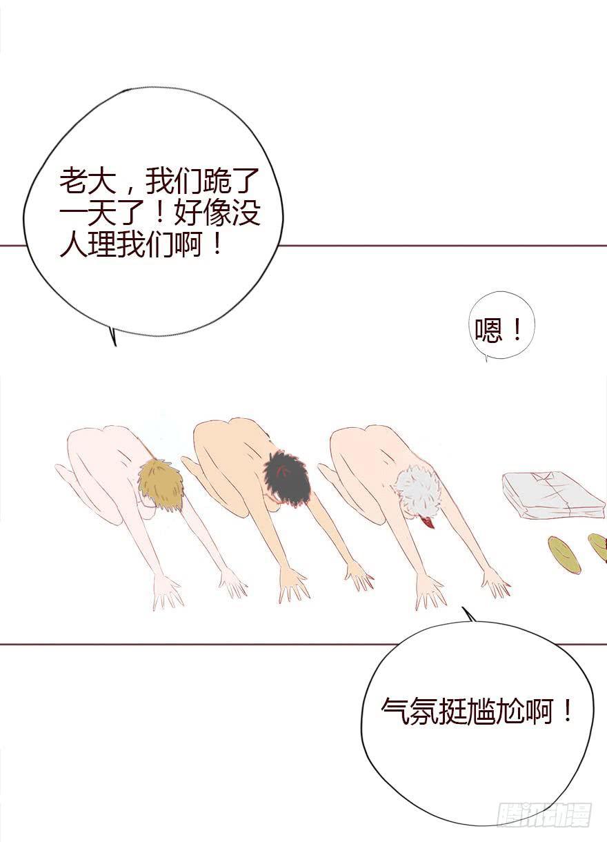 003搭档169